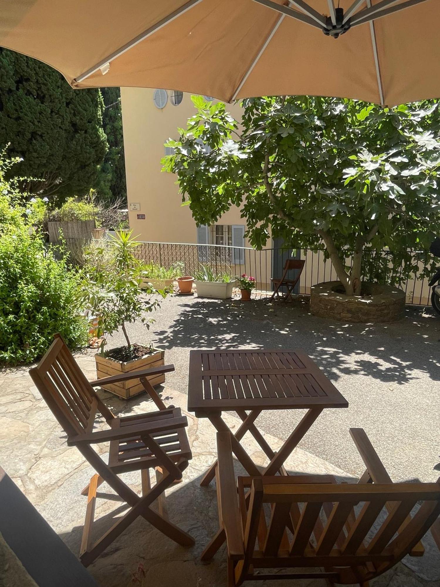 Cosy Studio - Place Du Figuier Bormes-les-Mimosas Zewnętrze zdjęcie